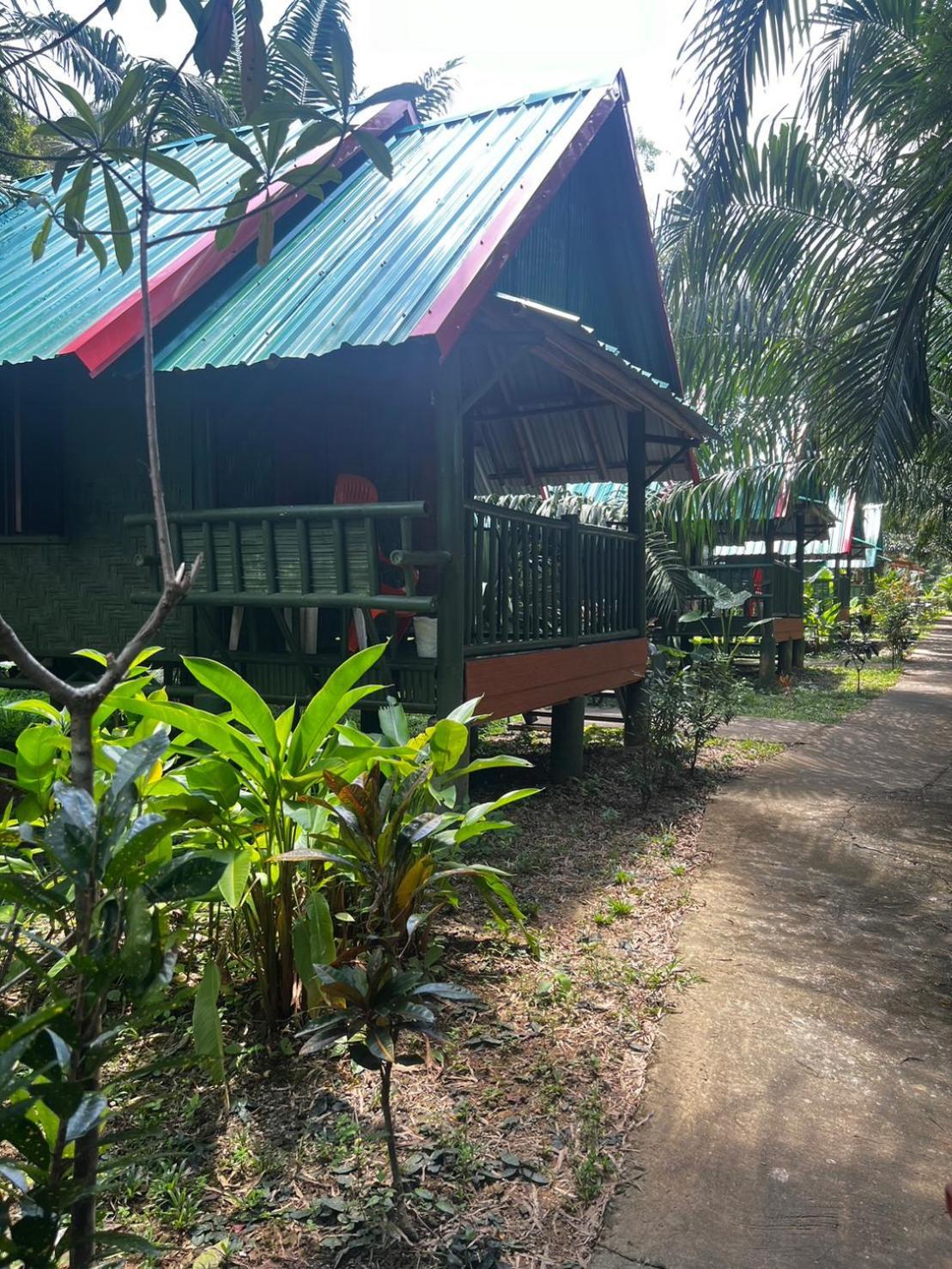 Khaosok Bamboo Huts Resort Khao Sok National Park المظهر الخارجي الصورة