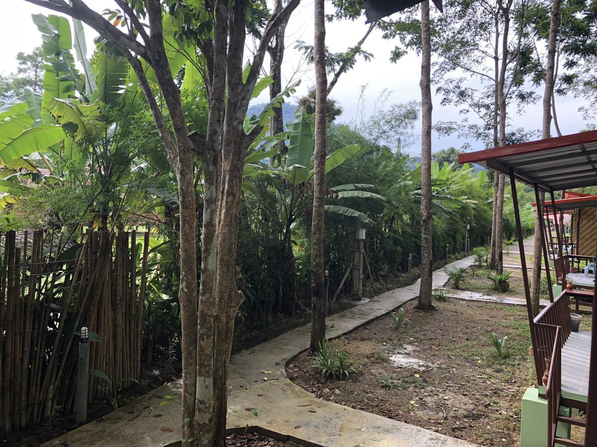 Khaosok Bamboo Huts Resort Khao Sok National Park المظهر الخارجي الصورة