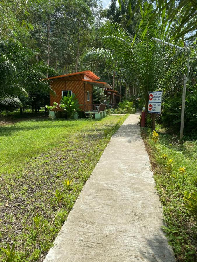 Khaosok Bamboo Huts Resort Khao Sok National Park المظهر الخارجي الصورة